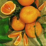 Hickson Mandarin whole and sliced into segments