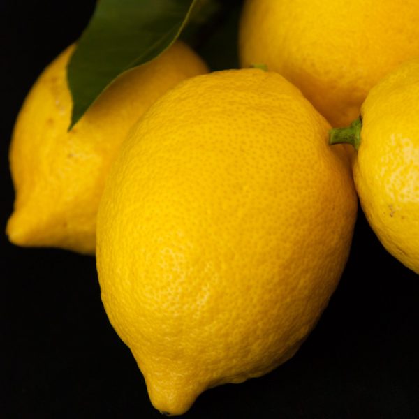 Dwarf Lemon Eureka