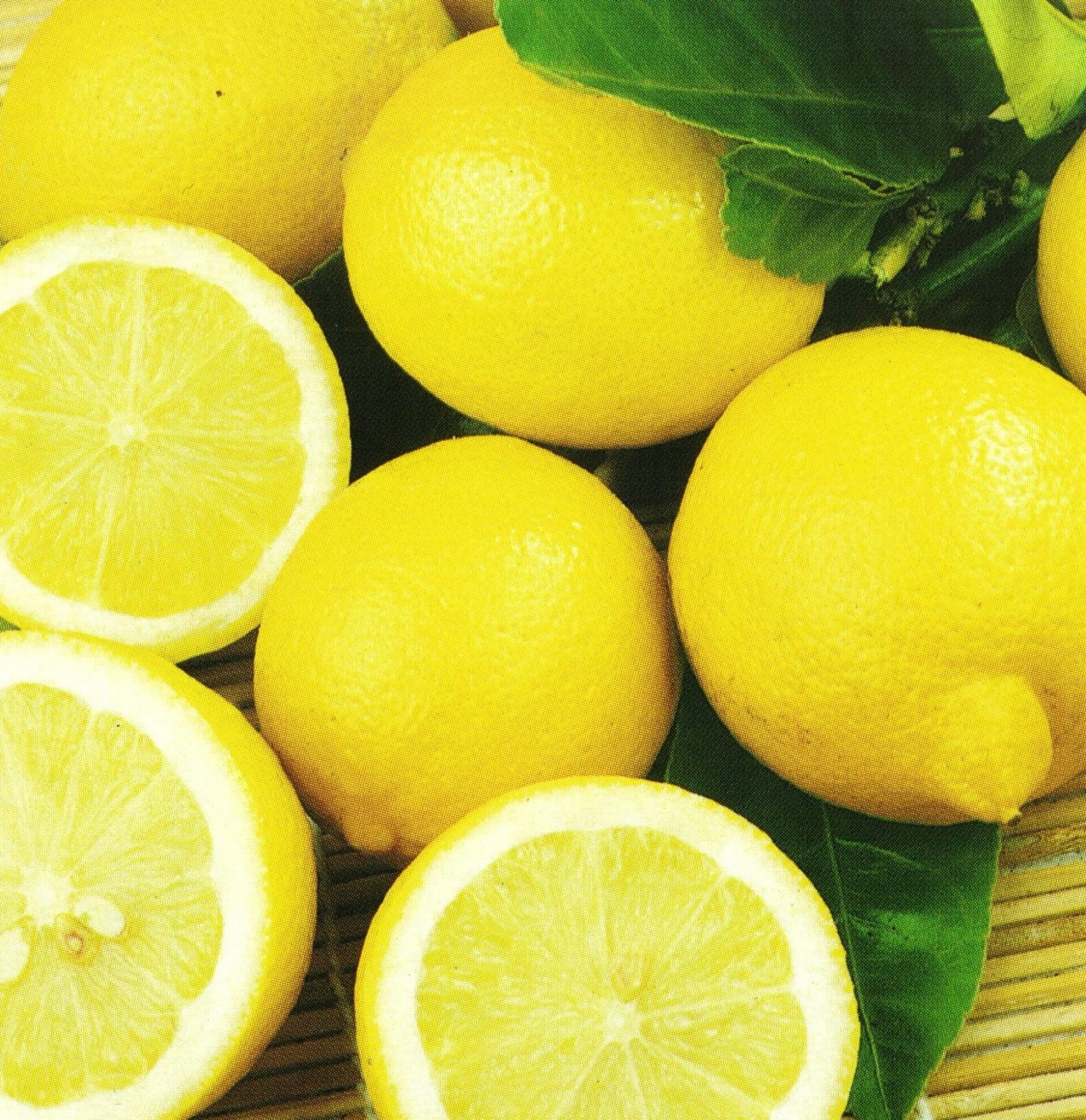 Aridag лимон Страна производитель