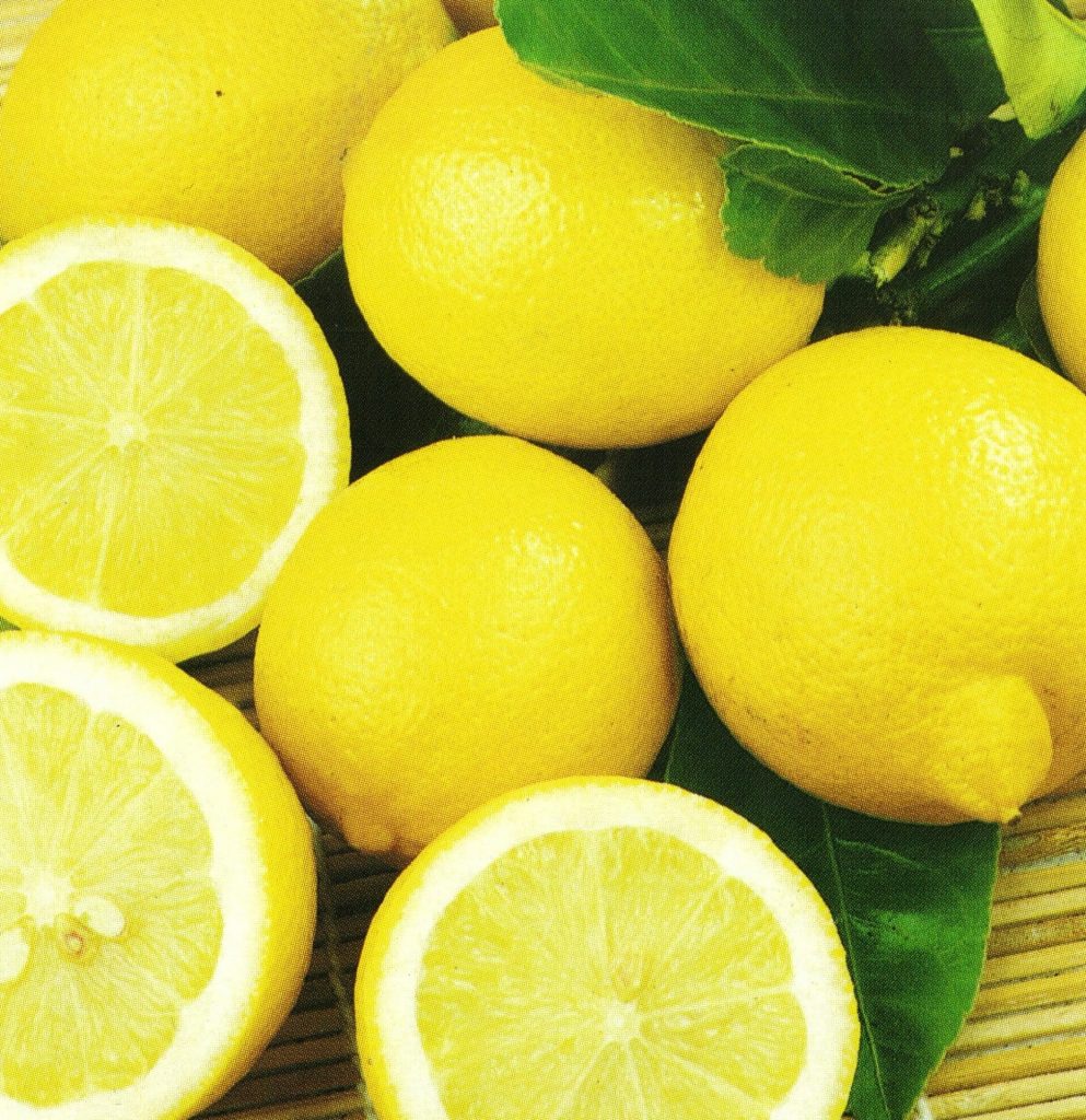 Juicy Lisbon Lemon fruit