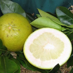 Nam Roi Pomelo cut open to show thick skin and pale yellow flesh